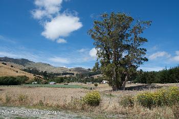 Banks Penisular