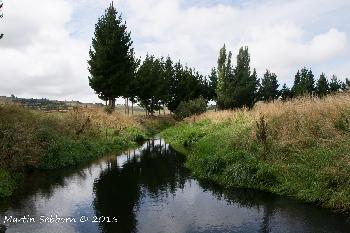 Local scenery