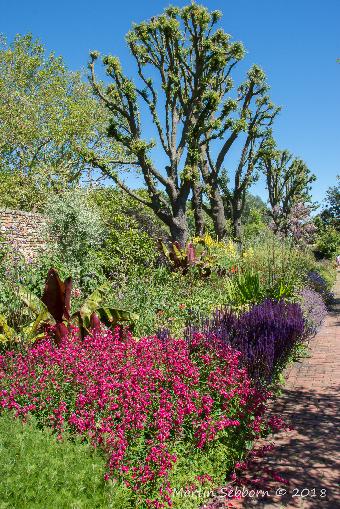 Salutation Gardens