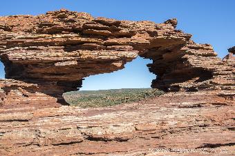 Nature's Window
